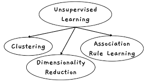 6. Unsupervised Learning – Clustering & Dimensionality Reduction